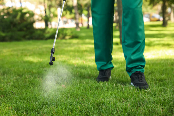 Best Emergency Pest Control  in Frazier Park, CA